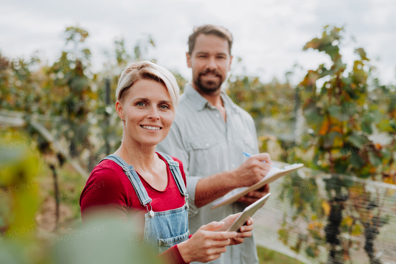 Viticulturist talking with vineyard owner, overseeing grapes growing and harvesting. Manual grape harvesting in family-run vineyard