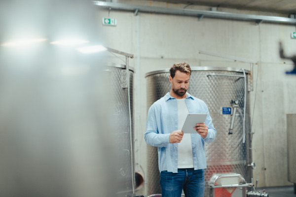 The winemaker standing in the wine cellar, monitoring the fermentation and aging processes in large barrels, holding clipboard.