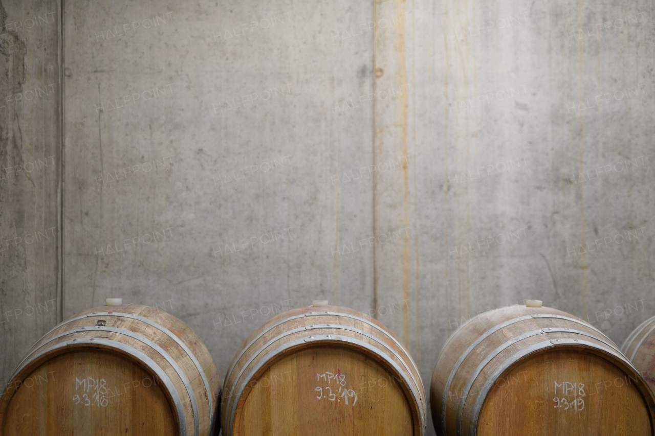 Wine cellar with oak barrels for aging wine. Traditional wine storage for winemaking.