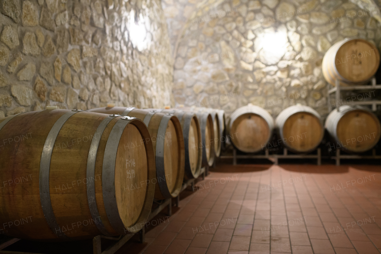 Wine cellar with oak barrels for aging wine. Traditional wine storage for winemaking.