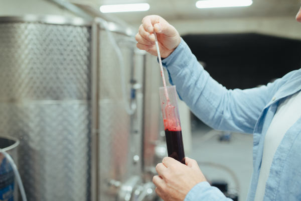 The winemaker standing in the wine cellar, controlling, testing wine sample.