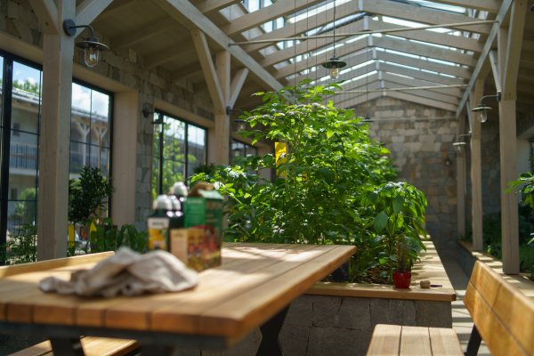 Beautiful stone brick greenhouse with plants in raised beds and worktable. Fertilizers and pesticides on the table, taking care of plants and greenery.