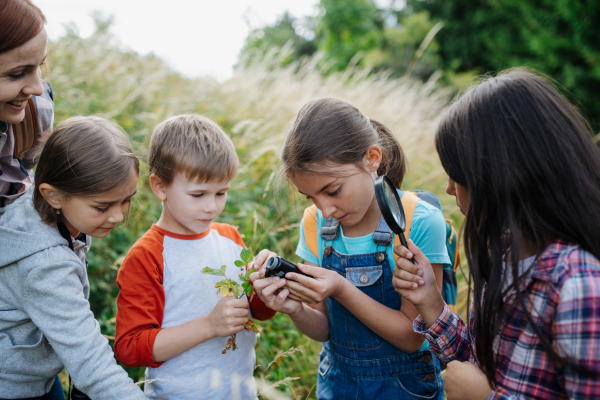 Young students learning about nature during biology field teaching class, observing wild plants with magnifying glass and pocket microscope. Dedicated teachers during outdoor active education