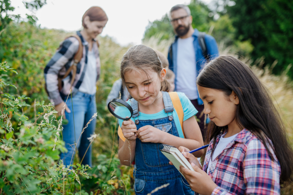 Young students learning about nature, forest ecosystem during biology field teaching class, observing wild plants with magnifying glass. Dedicated teachers during outdoor active education. Teachers' Day.