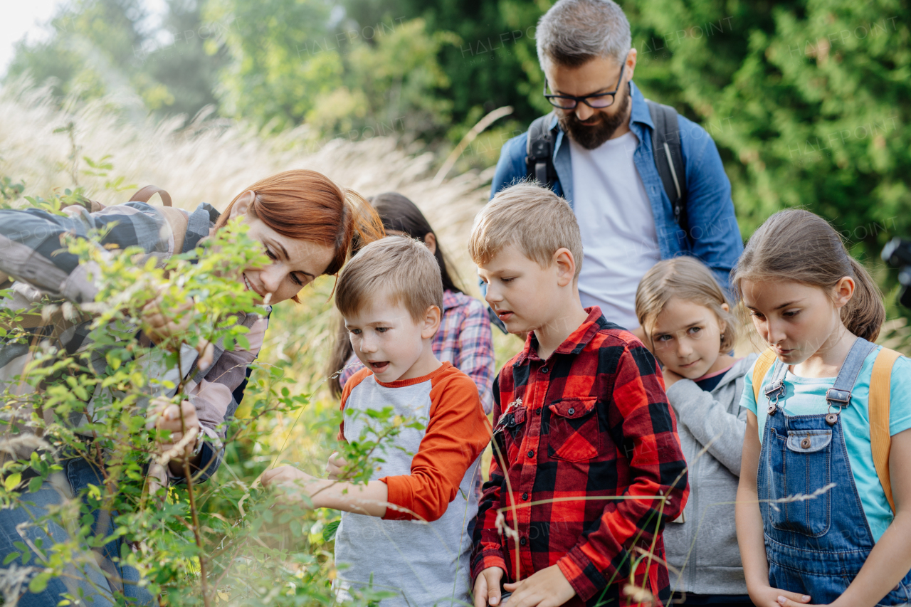 Young students learning about nature, forest ecosystem during biology field teaching class, observing wild plants. Dedicated teachers during outdoor active education. Teachers' Day.