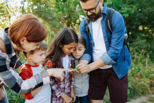 Young students learning about nature, forest ecosystem during biology field teaching class, observing wild plants. Dedicated teachers during outdoor active education. Teachers' Day.