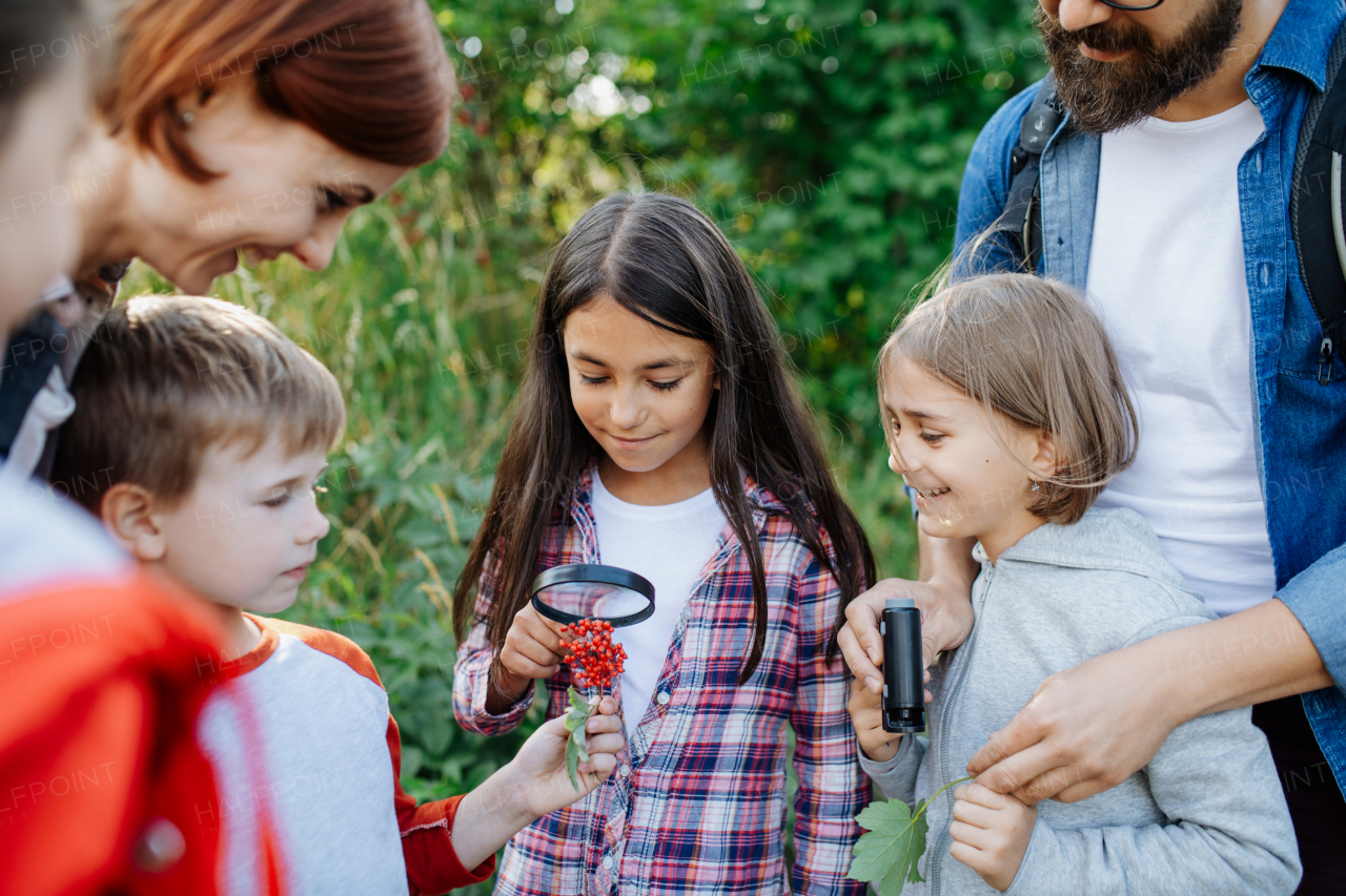 Young students learning about nature, forest ecosystem during biology field teaching class, observing wild plants with magnifying glass. Dedicated teachers during outdoor active education. Teachers' Day.