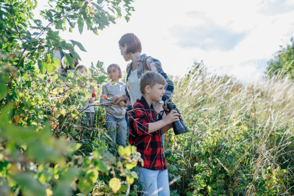 Young students learning about nature, forest ecosystem during biology field teaching class, School boy observing wildlife with bionoculars. Dedicated teachers during outdoor active education. Teachers' Day.