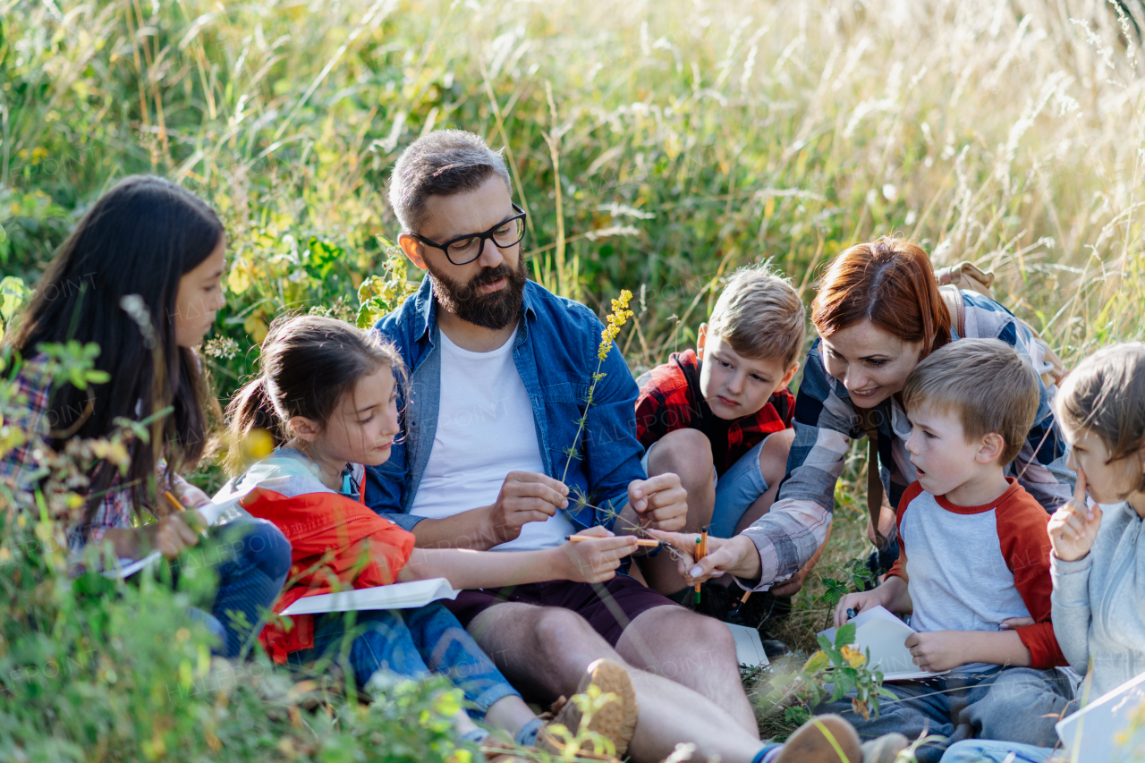 Young students learning about nature, forest ecosystem during biology field teaching class, observing wild plants. Dedicated teachers during outdoor active education. Teachers' Day.