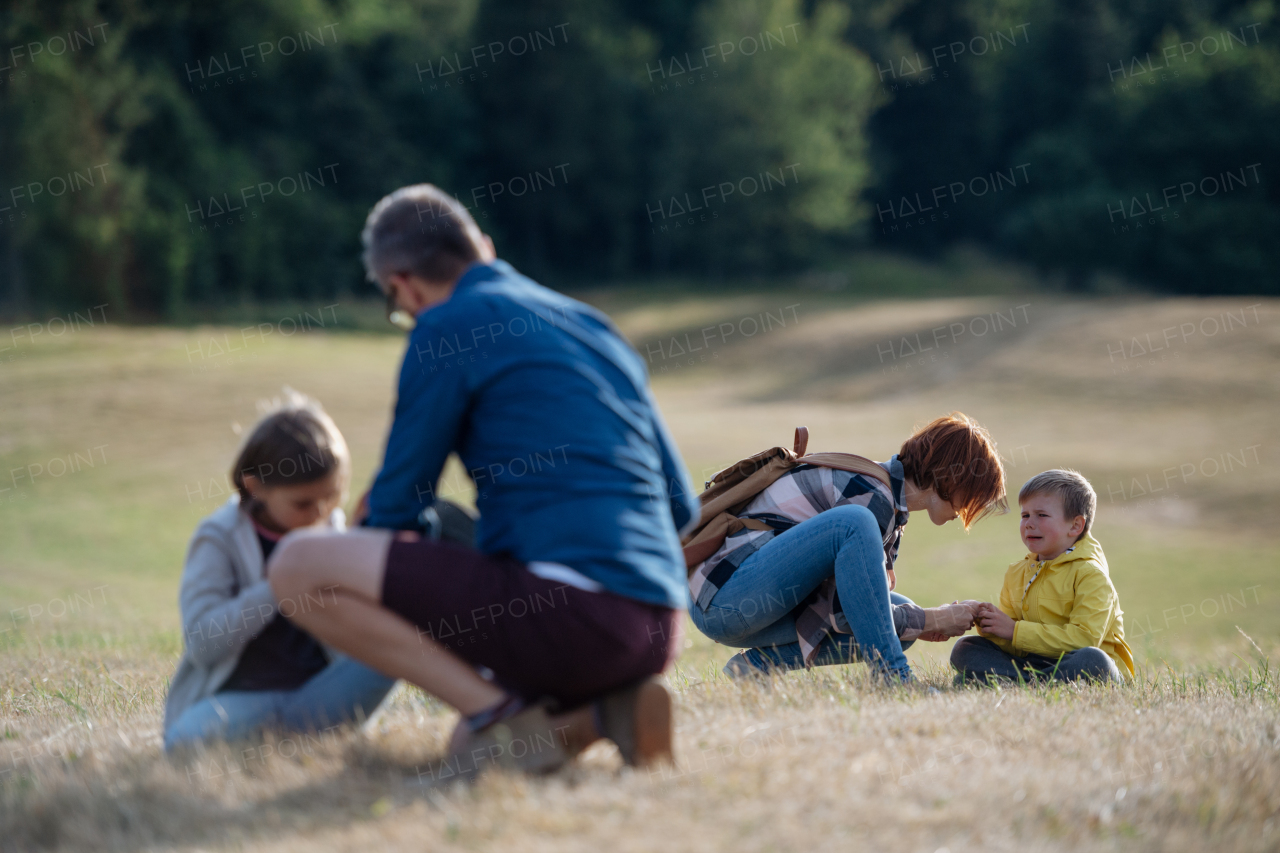 Teacher helping injured boy after fall. Young students running across meadow during biology field teaching class. Dedicated teachers during outdoor active education.