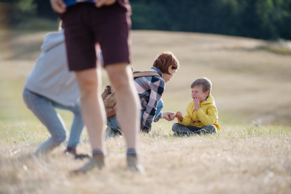 Teacher helping injured boy after fall. Young students running across meadow during biology field teaching class. Dedicated teachers during outdoor active education.