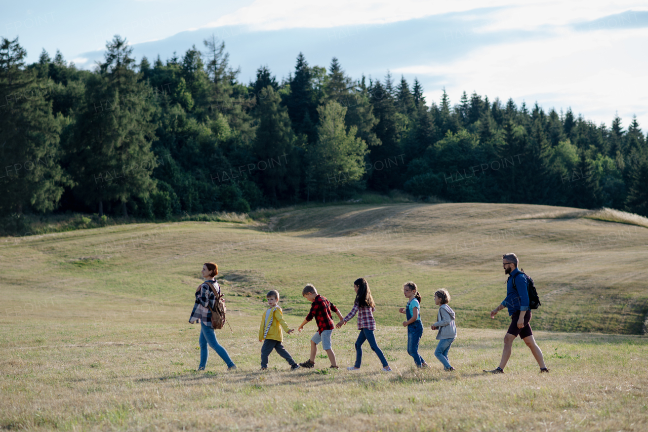 Young students walking across meadow during biology field teaching class, holding hands. Dedicated teachers during outdoor active education teaching about ecosystem and nature.