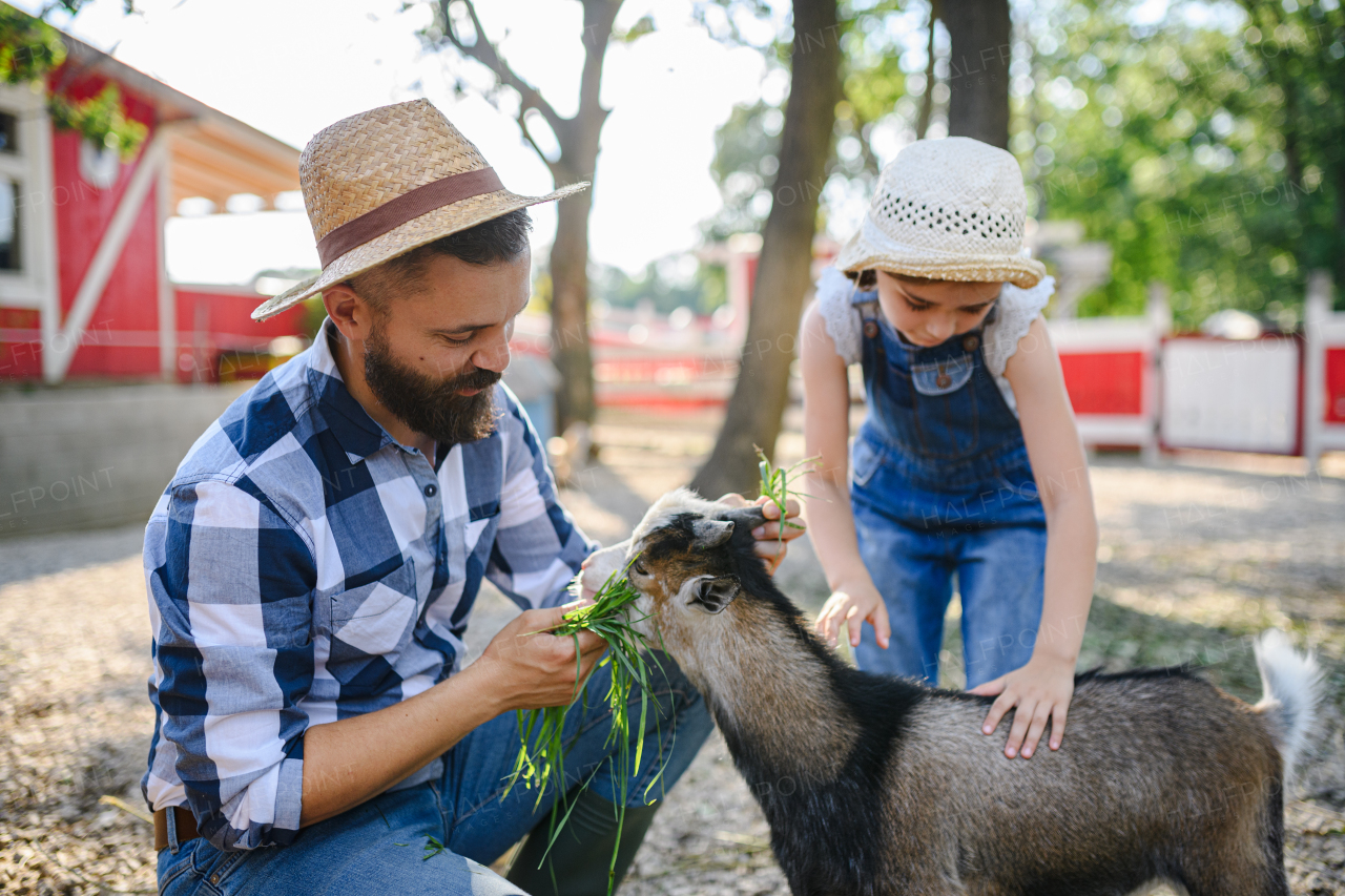 Portrait of father and young daughter standing in paddock, petting goat family farm. Concept of multigenerational farming.