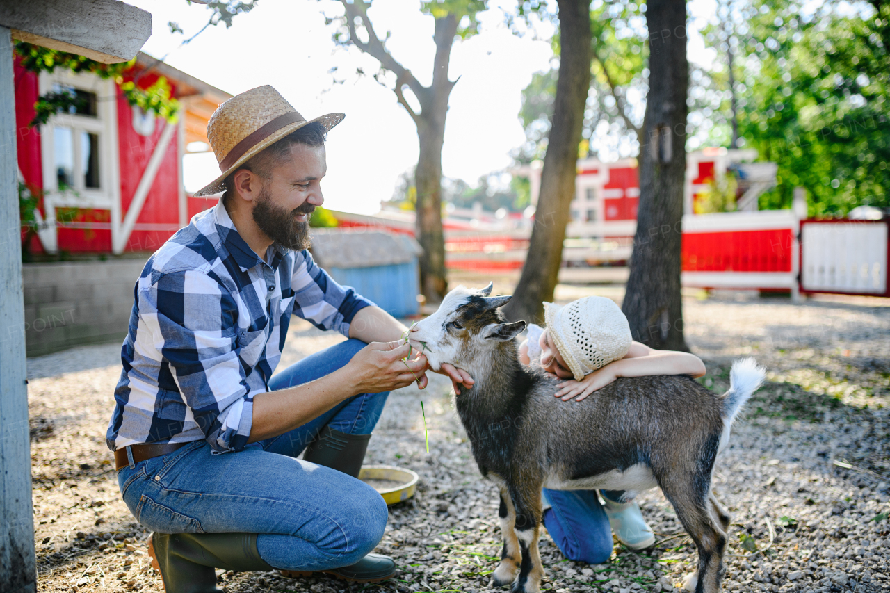 Portrait of handsome farmer petting brown goat at his farm. Man with hat working on family ranch.