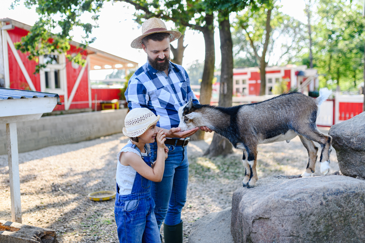 Portrait of father and young daughter standing in paddock, petting goat family farm. Concept of multigenerational farming.