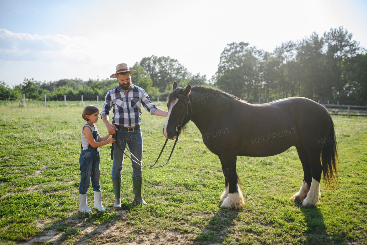 Portrait of a father and young daughter taking care of a horse on a farm, leading it to the paddock. Concept of multigenerational farming.