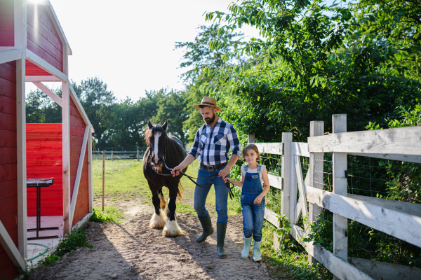 Portrait of a father and young daughter taking care of a horse on a farm, leading it to the paddock. Concept of multigenerational farming.