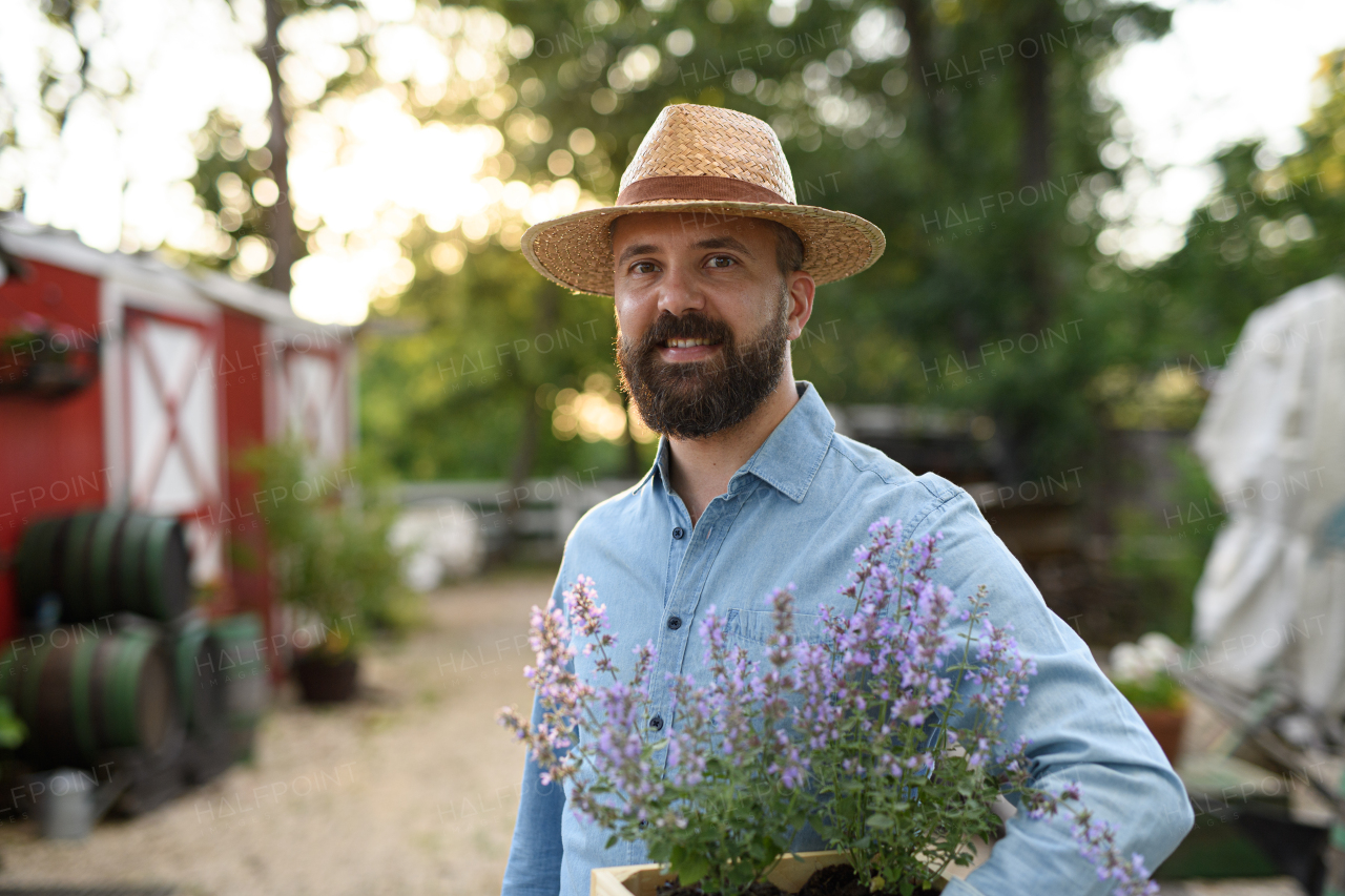 A portrait of handsome farmer holding lavender plant in pot, working on family farm.