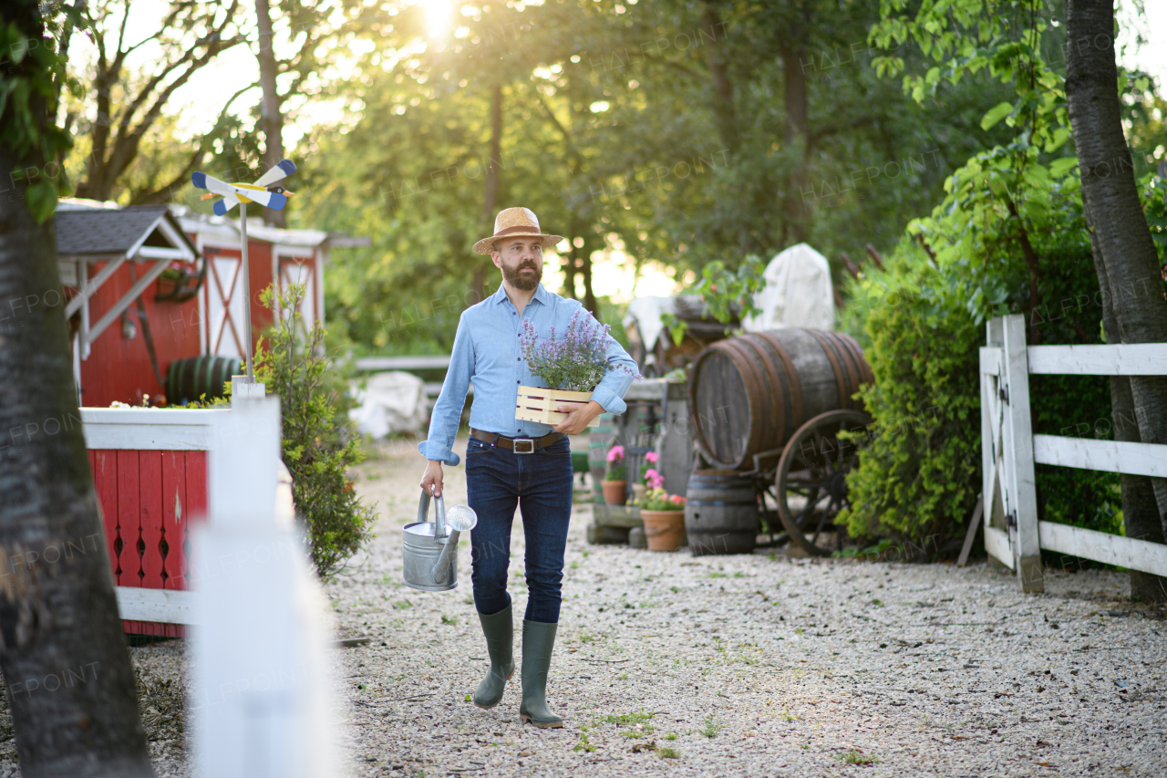 A portrait of handsome farmer holding lavender plant in pot, working on family farm.