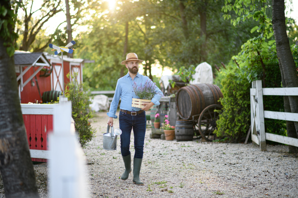 A portrait of handsome farmer holding lavender plant in pot, working on family farm.