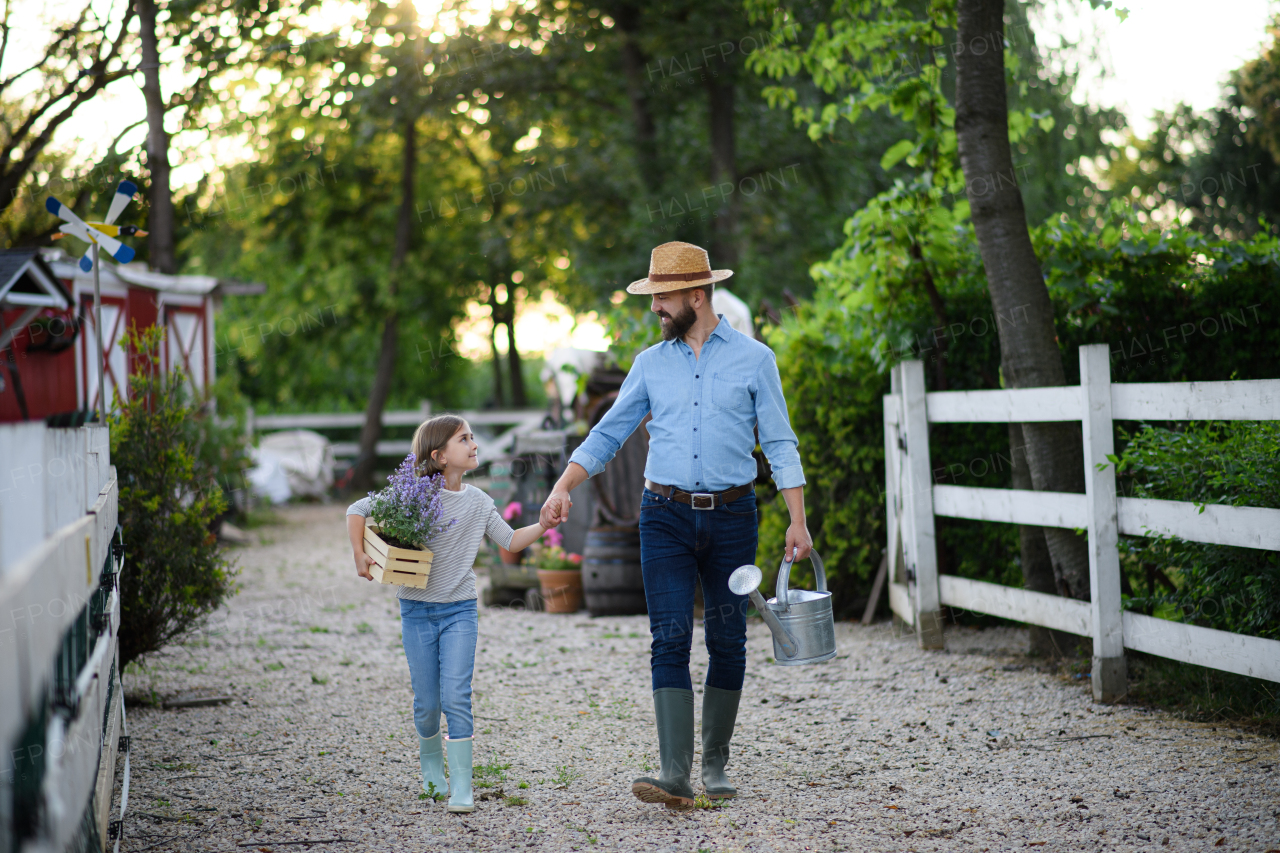 Farmer family, father and young daughter walking across family farm, holding watering can, lavedner plant. Concept of multigenerational farming.