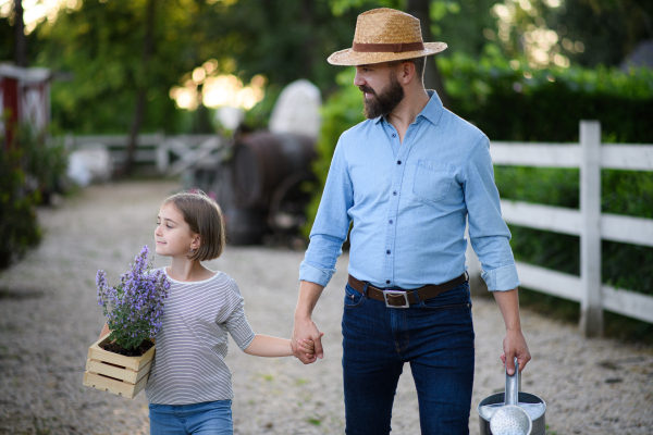 Farmer family, father and young daughter walking across family farm, holding watering can, lavedner plant. Concept of multigenerational farming.