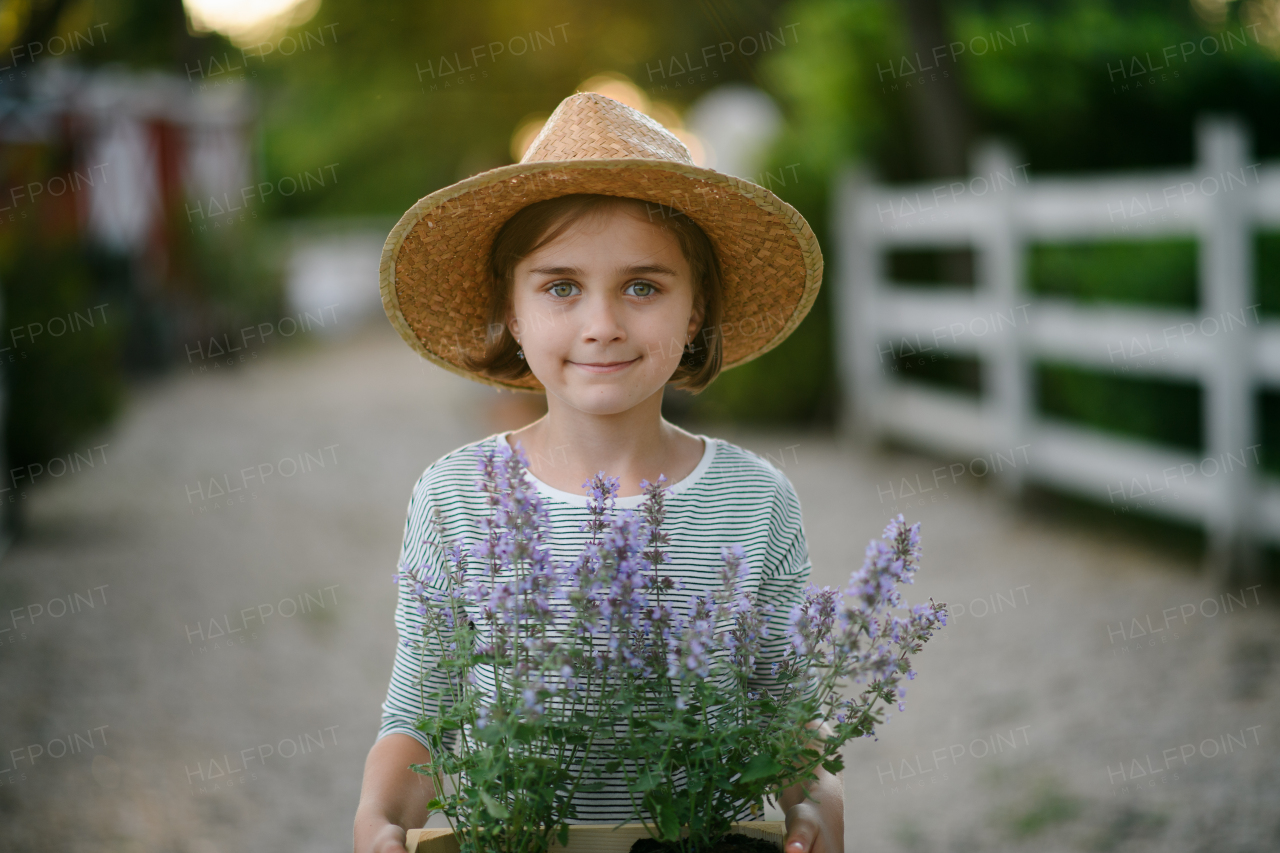 Beautiful young girl helping on family farm during summer, holding lavender plant in pot. . Future female farmer.