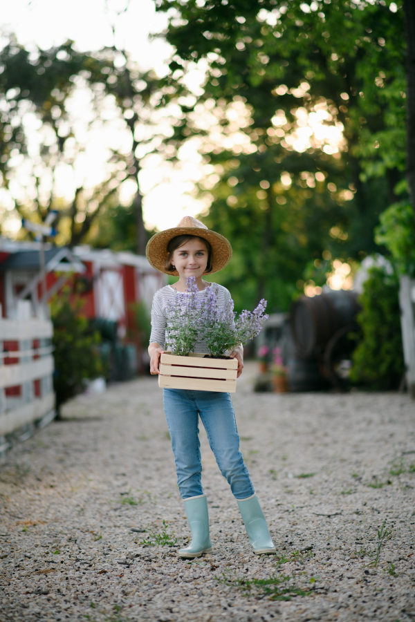 Beautiful young girl helping on family farm during summer, holding lavender plant in pot. . Future female farmer.