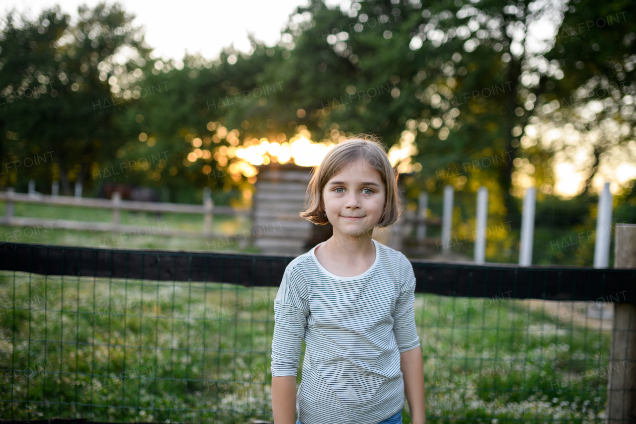 Beautiful young girl standing on meadow during sunset, helping on family farm during summer.