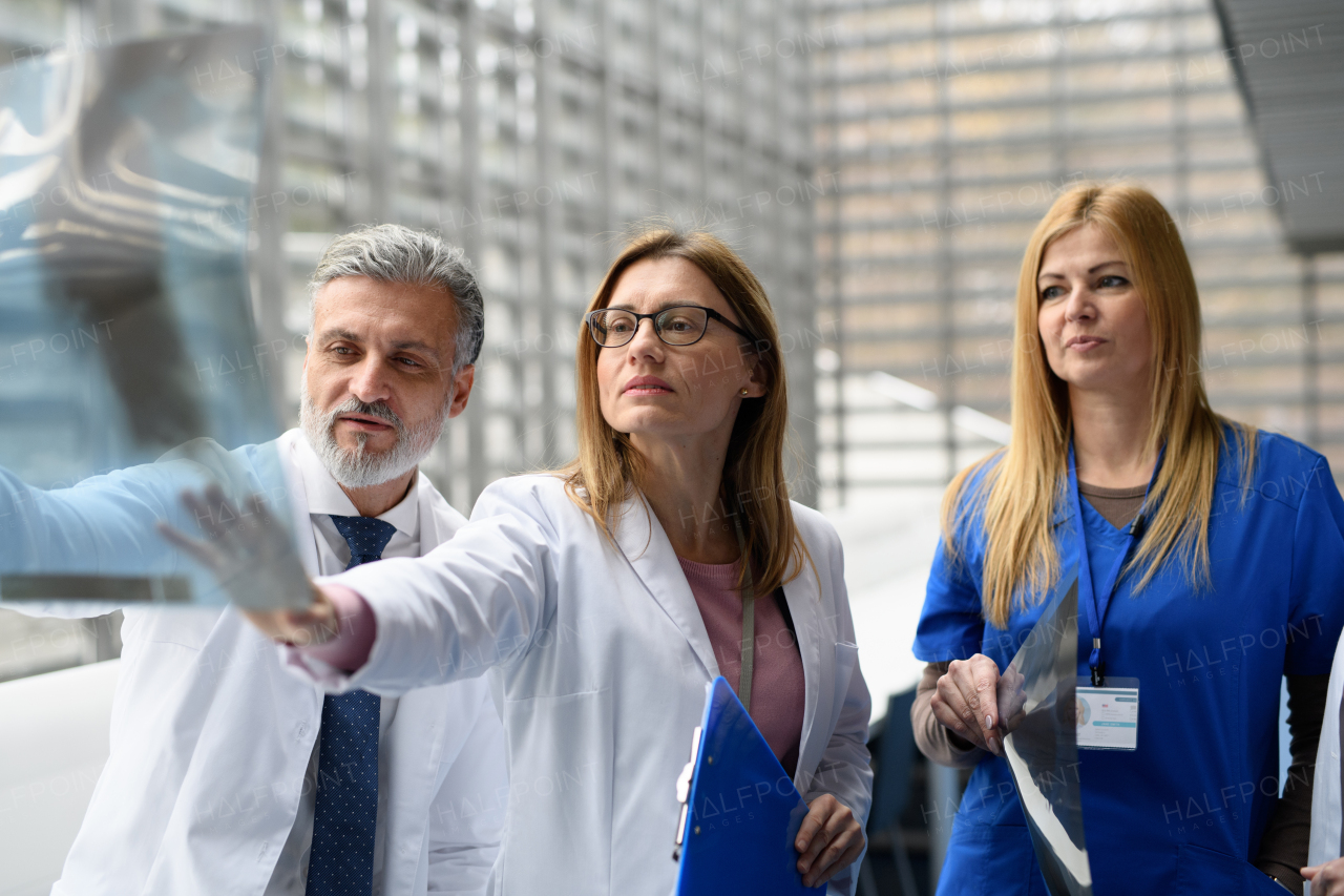 Group of doctors discussing X-ray scan, medical team discussing patients results, searching for problem and right treatments.