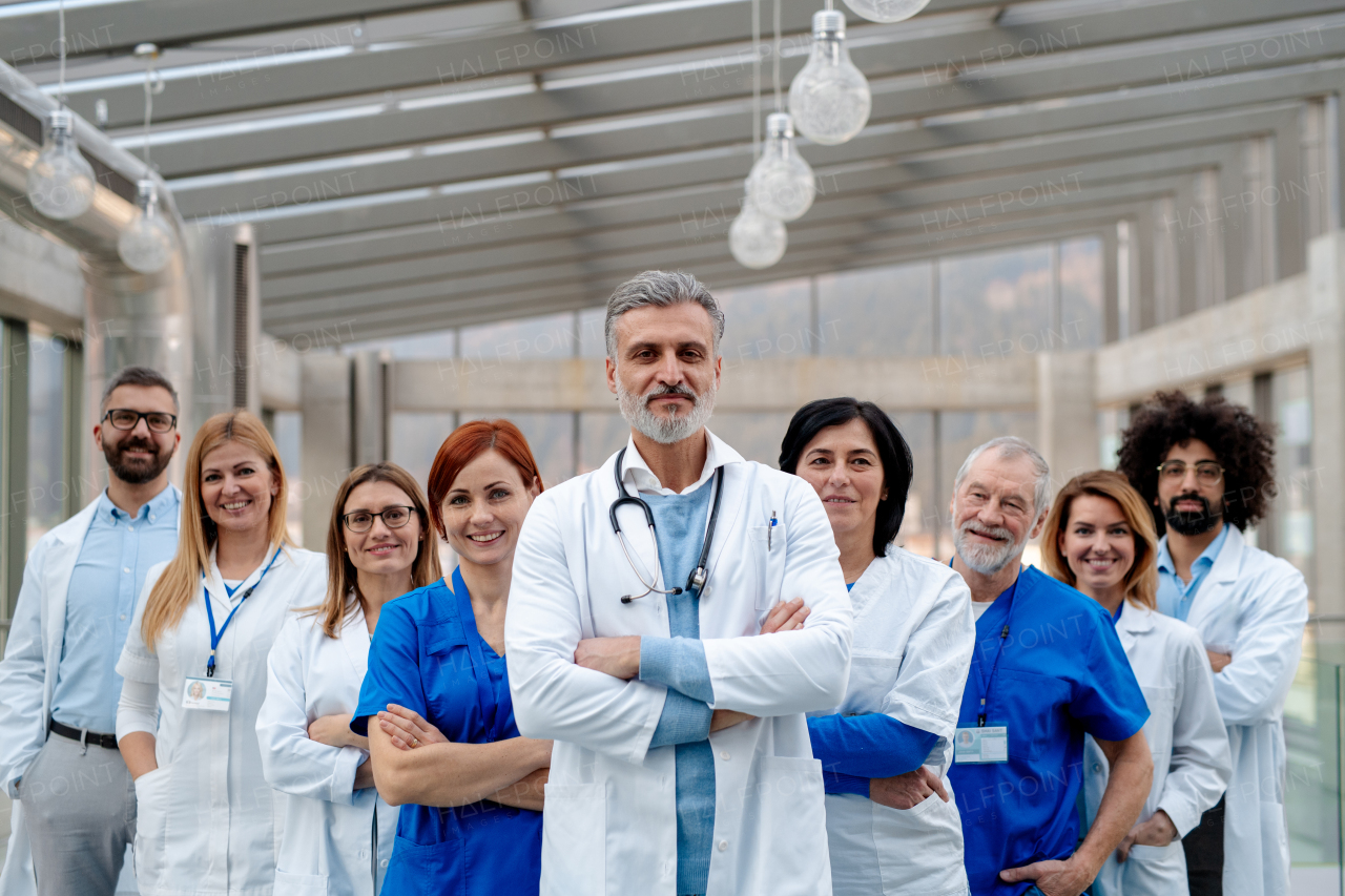 Portrait of team of doctors. Healthcare team with doctors, nurses, professionals in medical uniforms in hospital, modern clinic.