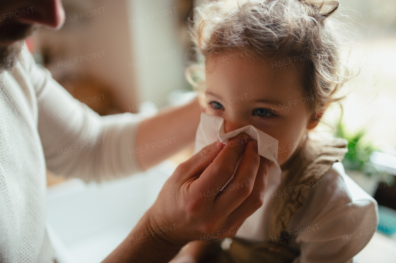 Sick girl with cold at home. Father helping little daughter to blow her nose