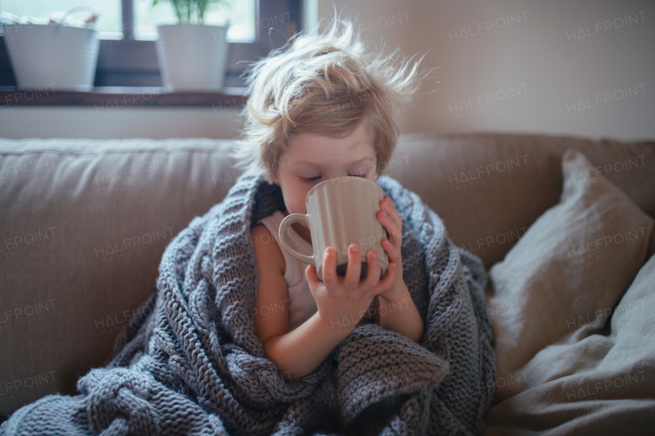 Little boy drinking tea from cup. Sick boy with cold is sitting on sofa under warm blanket and drinking herbal tea