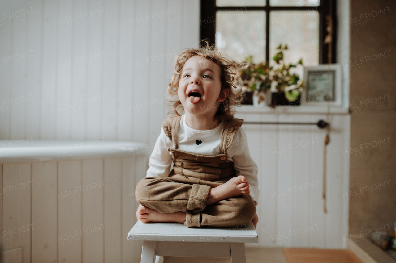 Portrait of an adorable little girl sitting on wooden stool, sticking out tongue