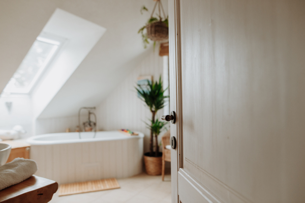 Modern attic bathroom with bathtub and water toys.