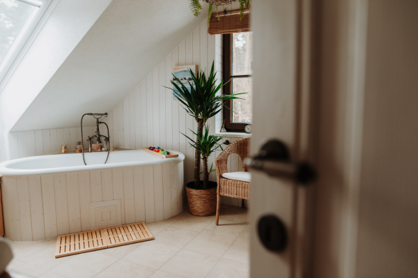 Modern attic bathroom with bathtub and water toys.