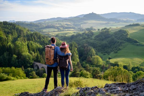 Travellers couple hiking on easy trail in nature with backpacks. Young tourist resting, enjoying breathtaking view. Romantic summer vacation oudoors. Rear view.