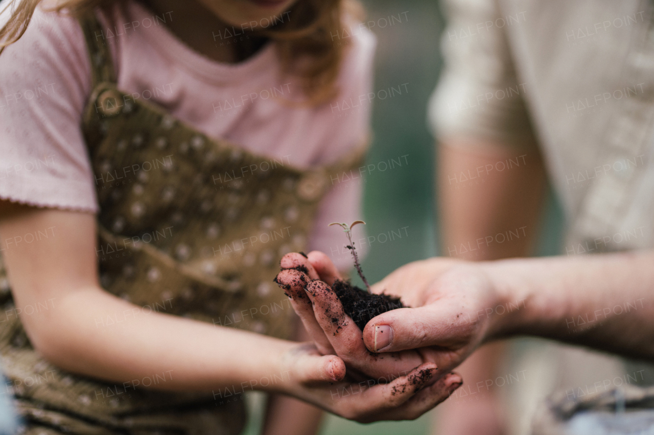 Fater and girl with seedling in palm, working together in garden, planting seedlings, spending time togeter, have a shared hobby. Fatherhood and Father's Day concept.