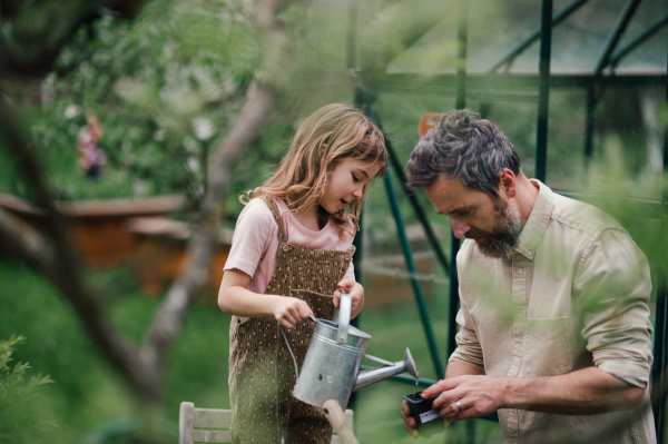 Fater and girl working together in garden, planting seedlings, spending time togeter, have a shared hobby. Fatherhood and Father's Day concept.