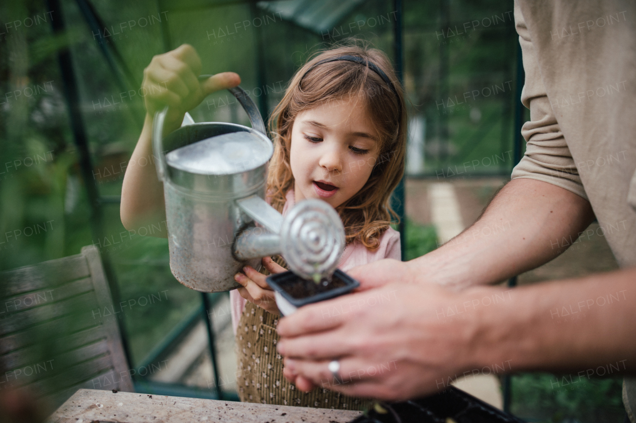 Fater and girl working together in garden, planting seedlings, spending time togeter, have a shared hobby. Fatherhood and Father's Day concept.