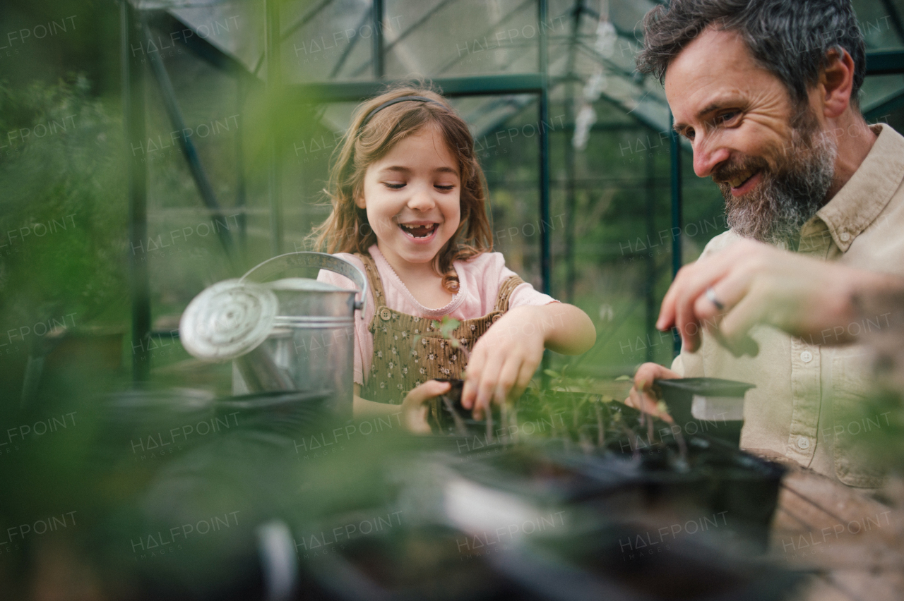 Fater and girl working together in garden, planting seedlings, spending time togeter, have a shared hobby. Fatherhood and Father's Day concept.