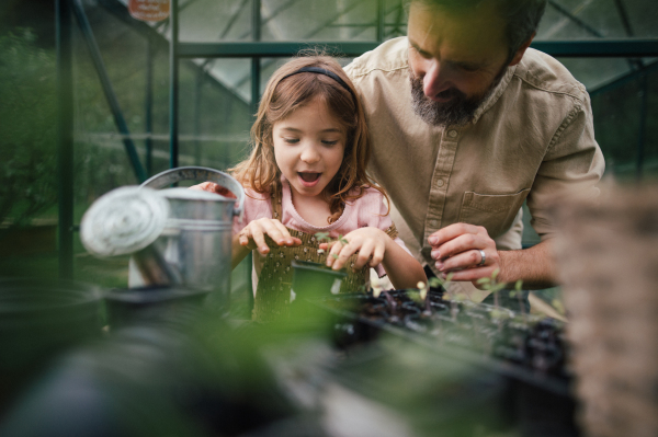 Fater and girl working together in garden, planting seedlings, spending time togeter, have a shared hobby. Fatherhood and Father's Day concept.