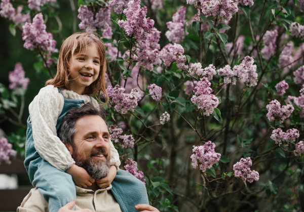 Dad having fun with young daughter, carry her on shoulders, walking in spring nature. Fatherhood and Father's Day concept.