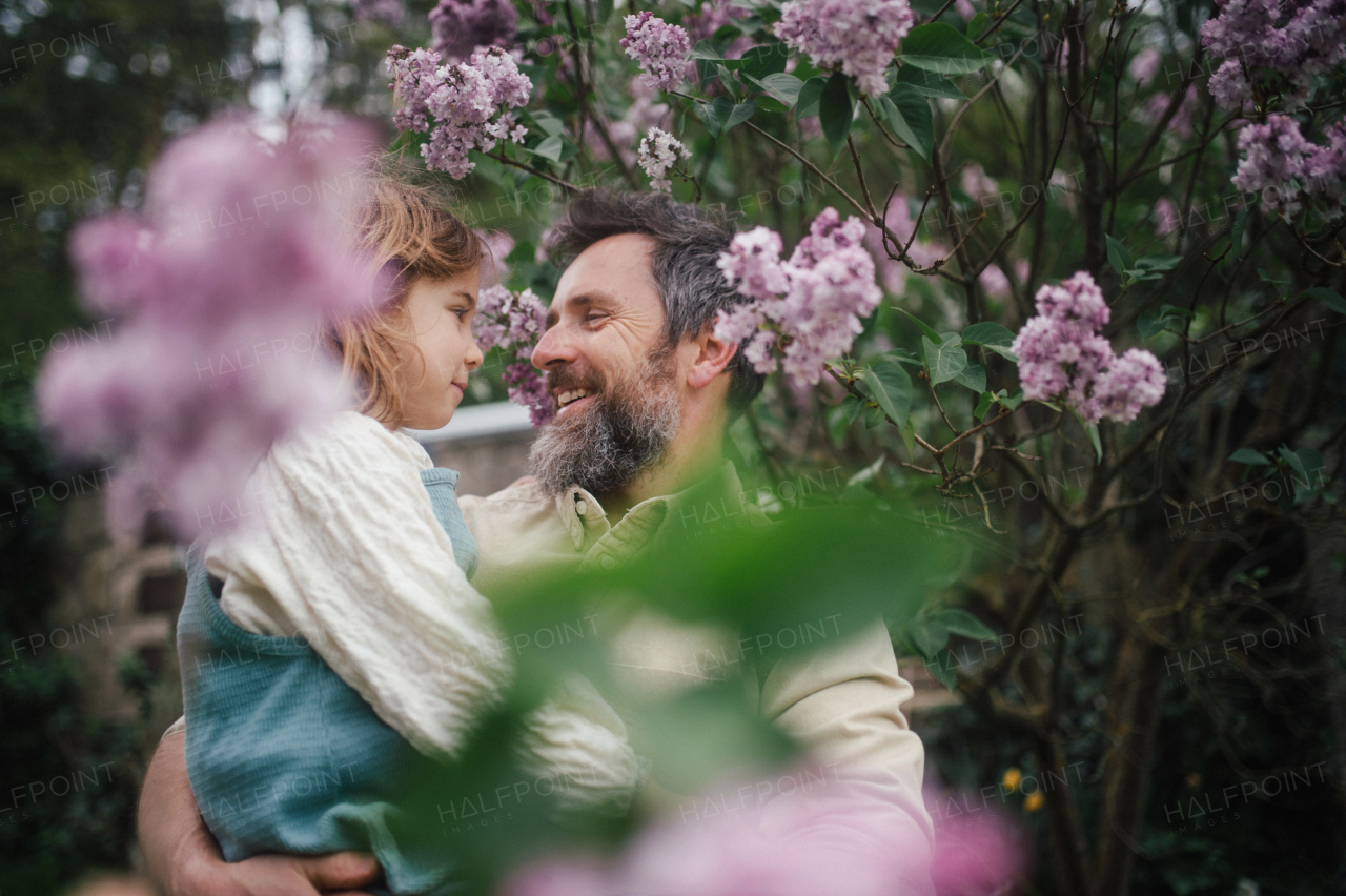 Dad embracing young daughter, carry her, looking at her lovingly, walking in spring nature. Fatherhood and Father's Day