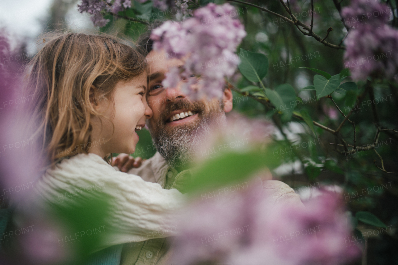 Dad embracing young daughter, carry her, looking at her lovingly, walking in spring nature. Fatherhood and Father's Day