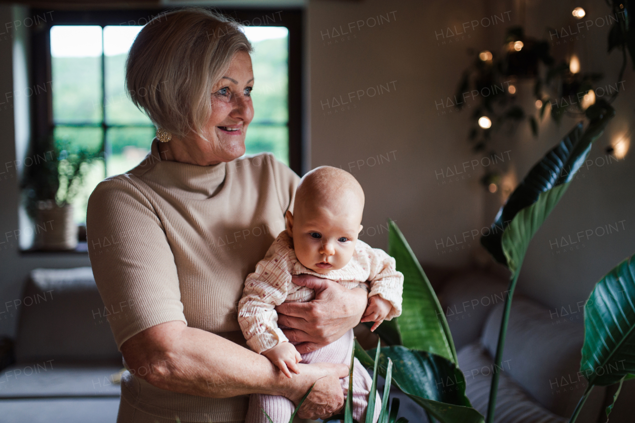 Grandmother holding little baby in arms, looking at her lovingly. Strong bond between grandparent and grandchild.