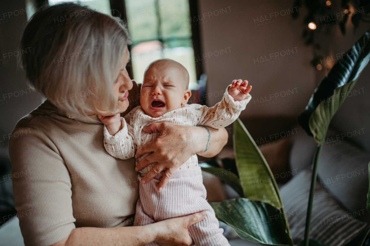 Stylish grandmother holding crying baby girl in arms, calming her down, soothing her. Strong bond between grandparent and grandchild.