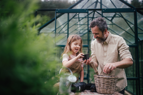 Fater and girl working together in garden, planting seedlings, spending time togeter, have a shared hobby. Fatherhood and Father's Day concept.