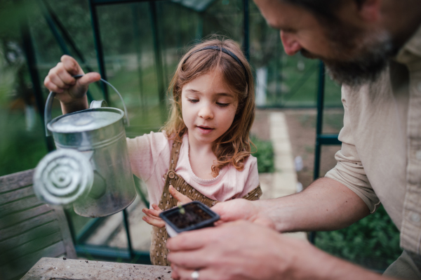 Fater and girl working together in garden, planting seedlings, spending time togeter, have a shared hobby. Fatherhood and Father's Day concept.