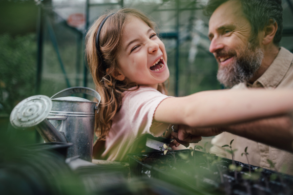 Fater and girl working together in garden, planting seedlings, spending time togeter, have a shared hobby. Fatherhood and Father's Day concept.